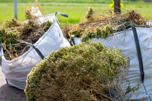 Best Yard Cleanup Services  in Charleston, MS